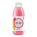 IJsthee »Immunitea«