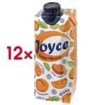 Pak met 12 kartonnen ijsthee Pfirsich 0,5 l