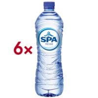 SPA Mineraalwater Spa Reine