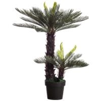 meet Kunstplant Zycas 80 cm