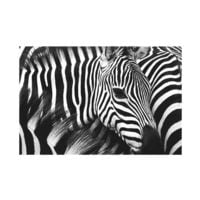 Paperflow Foto voor aan de wand Zebra
