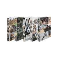 Herma 10x ringboekordner Animal 4D
