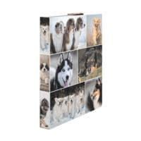 Herma 3x ringboekordner Honden 4D