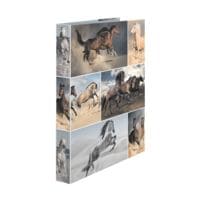 Herma 3x ringboekordner Paarden 4D