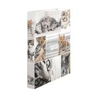 Herma 3x ringboekordner Katten 2D