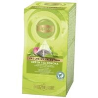Lipton Gearomatiseerde groene thee Green Tea Sencha 25 porties voor kopjes