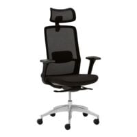 Bureaustoel met hoofdsteun mayer Sitzmbel 2842 met armleuningen