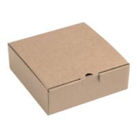 Quali Well Multifunctionele dozen met klapdeksel 22,5/22,5/7,5 cm - 20 stuks