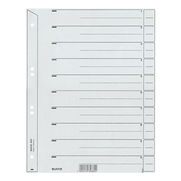 LEITZ Scheidingsbladen 6097 200 g/m - stuks