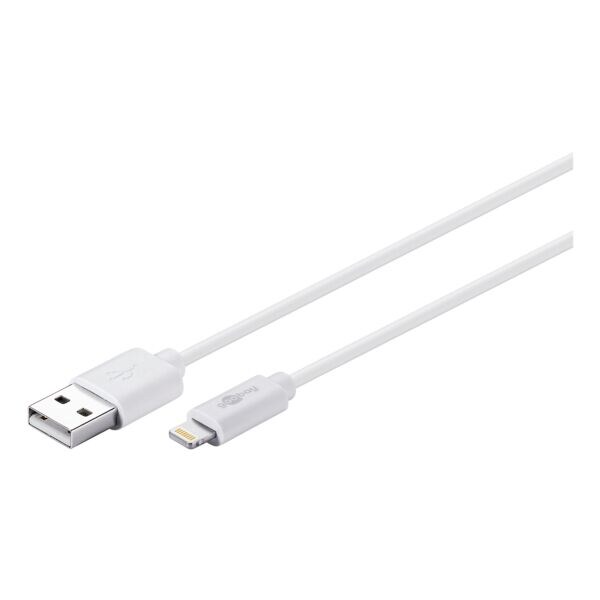 goobay DAT USB/Lightning-Kabel voor iPad goobay DAT USB/Lightning-Kabel voor iPad