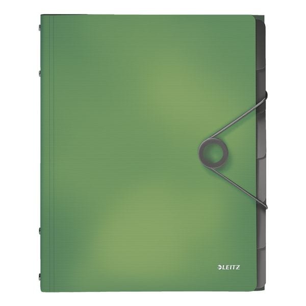 LEITZ Sorteermap Solid 4569
