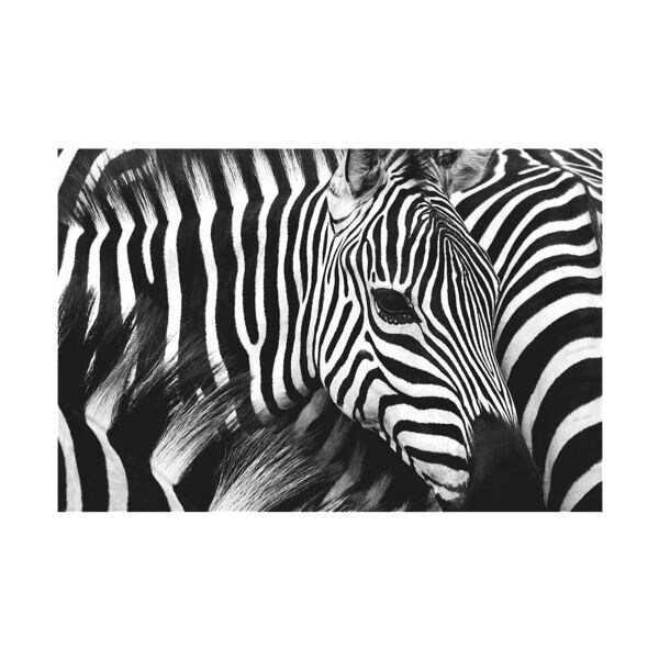 Paperflow Foto voor aan de wand Zebra