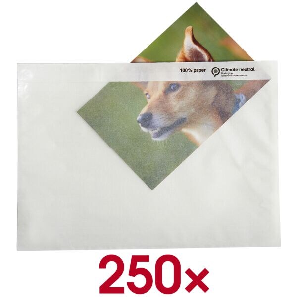 Mailmedia Pak met 250 documenten- en afleverbon-hoezen, C5