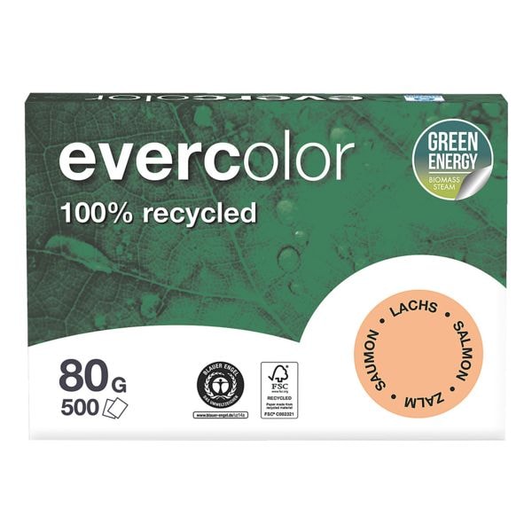 A4 Clairefontaine Evercolor - pastelkleuren - 500 bladen (totaal), 80g/qm