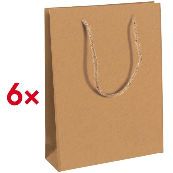 Clairefontaine Set van 6 kraftpapieren geschenkzakken L 26,5 x 14 x 33 cm
