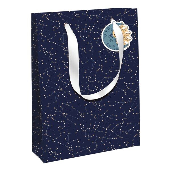 Clairefontaine Set van 6 geschenktassen L Excellia Sternbild 26,5 x 14 x 33 cm