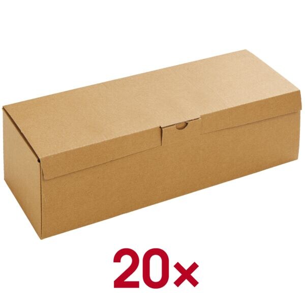 Quali Well Multifunctionele dozen met klapdeksel 33,0/11,0/11,0 cm - 20 stuks