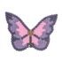 pointer cursor