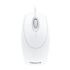 pointer cursor