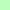 Limoen Groen (HN)