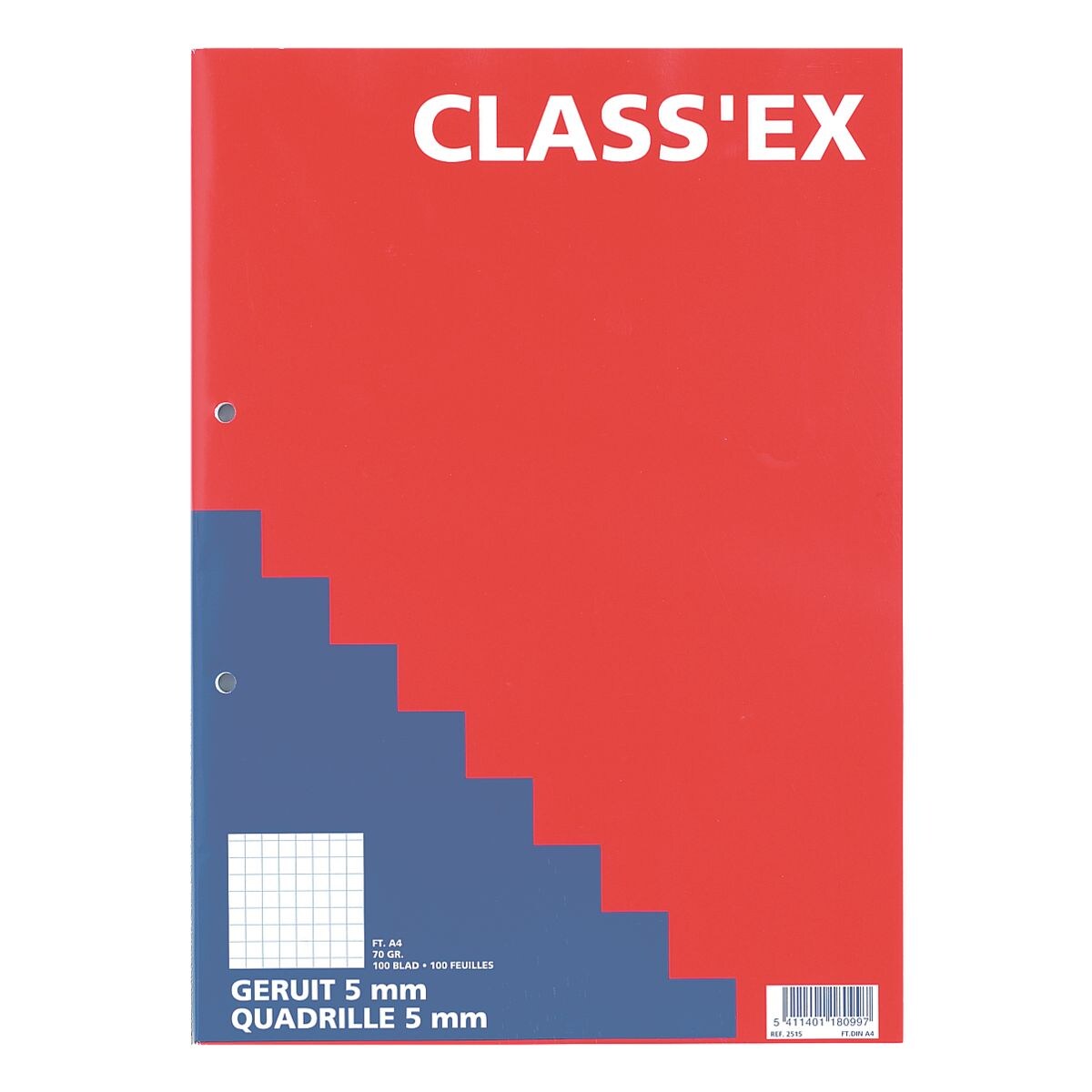 CLASS'EX cahier cahier A4  carreaux, 100 feuille(s)