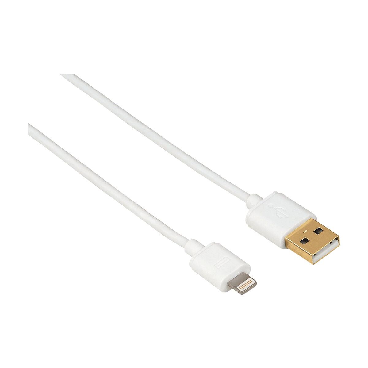 Hama Câble USB/lightning pour iPad