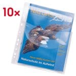 Pochettes perfor�es �&nbsp;Jumbo �&nbsp;A4 transparents - 10 pi�ces