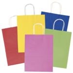 Paquet de 20 sacs en papier  BASIC  taille L - 5 couleurs