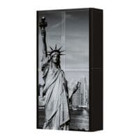 easyOffice Armoire  rideaux statut de la libert (3131C) verrouillable, 110 x 204 cm