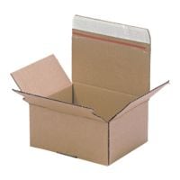 Carton d'expdition Systema  Speedbox SSB-160  16,0/13,5/7,5 cm - 20 pices
