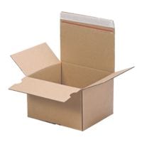 Carton d'expdition Systema  Speedbox SSB-210  21,0/18,0/13,5 cm - 20 pices