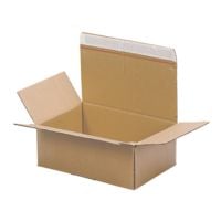Carton d'expdition Systema  Speedbox SSB-230  23,0/16,0/8,5 cm - 20 pices
