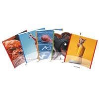 40x Aurora cahier d’cole Splendid 2 lignes lign, 18 feuille(s)