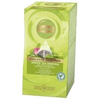 Lipton Th vert aromatis  Green Tea Sencha  25 portions de tasse