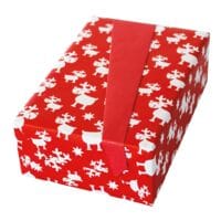 JUNG Papier cadeau  Blgg  50 cm x 20 m