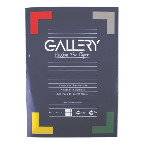 GALLERY cahier cahier A4  carreaux, 100 feuille(s)