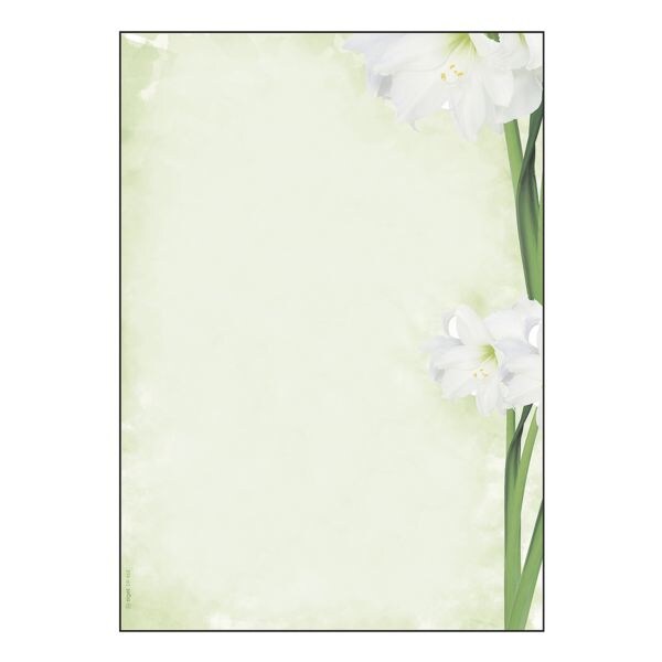 SIGEL Papier  motif  Green Flower 
