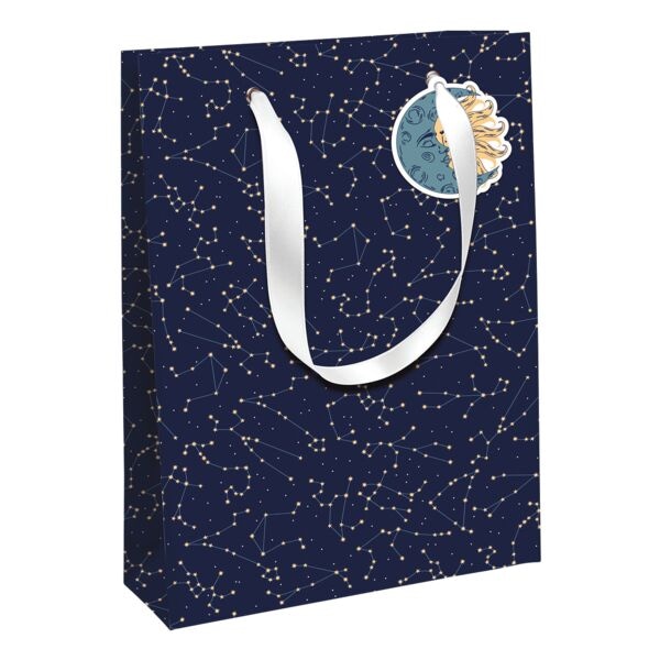 Clairefontaine Paquet de 6 sacs cadeaux L  Excellia Constellation  26,5 x 14 x 33 cm