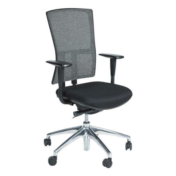 sige de bureau Schaffenburg ATO-300-NEN-WG-BC avec accoudoirs