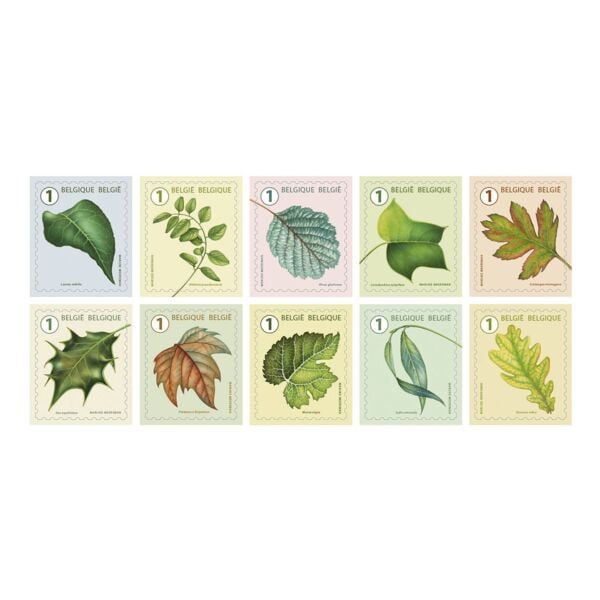 bpost Paquet de 50 timbres  Feuilles d'arbres , tarif 1 : national non prioritaire