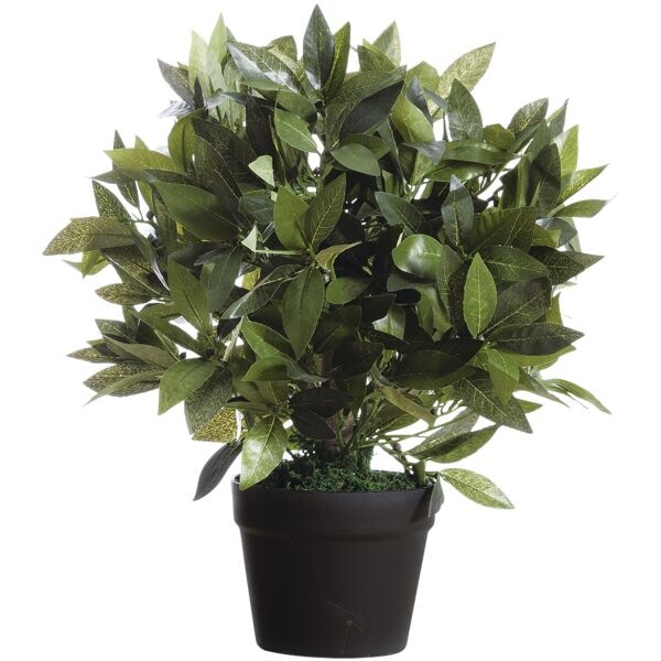 meet Plante artificielle  Laurier  50 cm