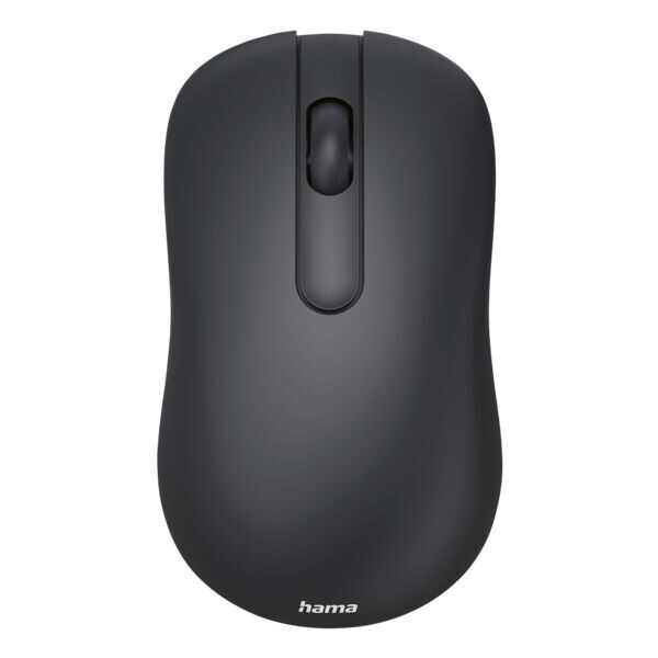 Hama Souris sans fil WM-100