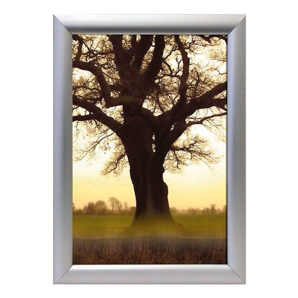 Franken Cadre rabattable � Outdoor BS1703 �