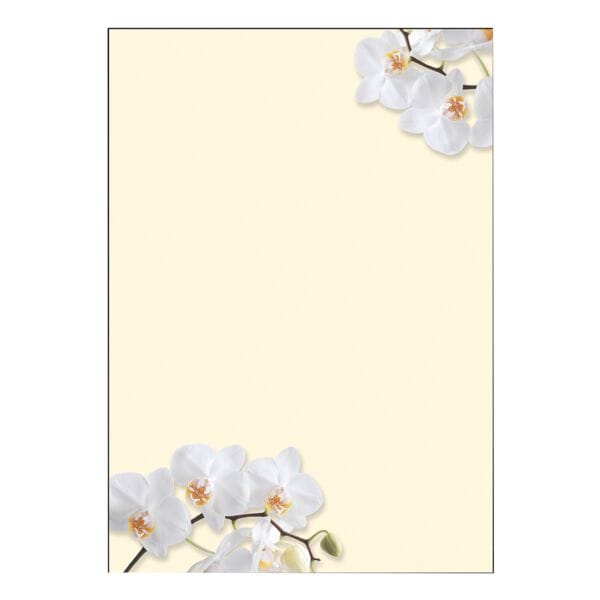SIGEL Papier  motifs  White Orchid  DP904