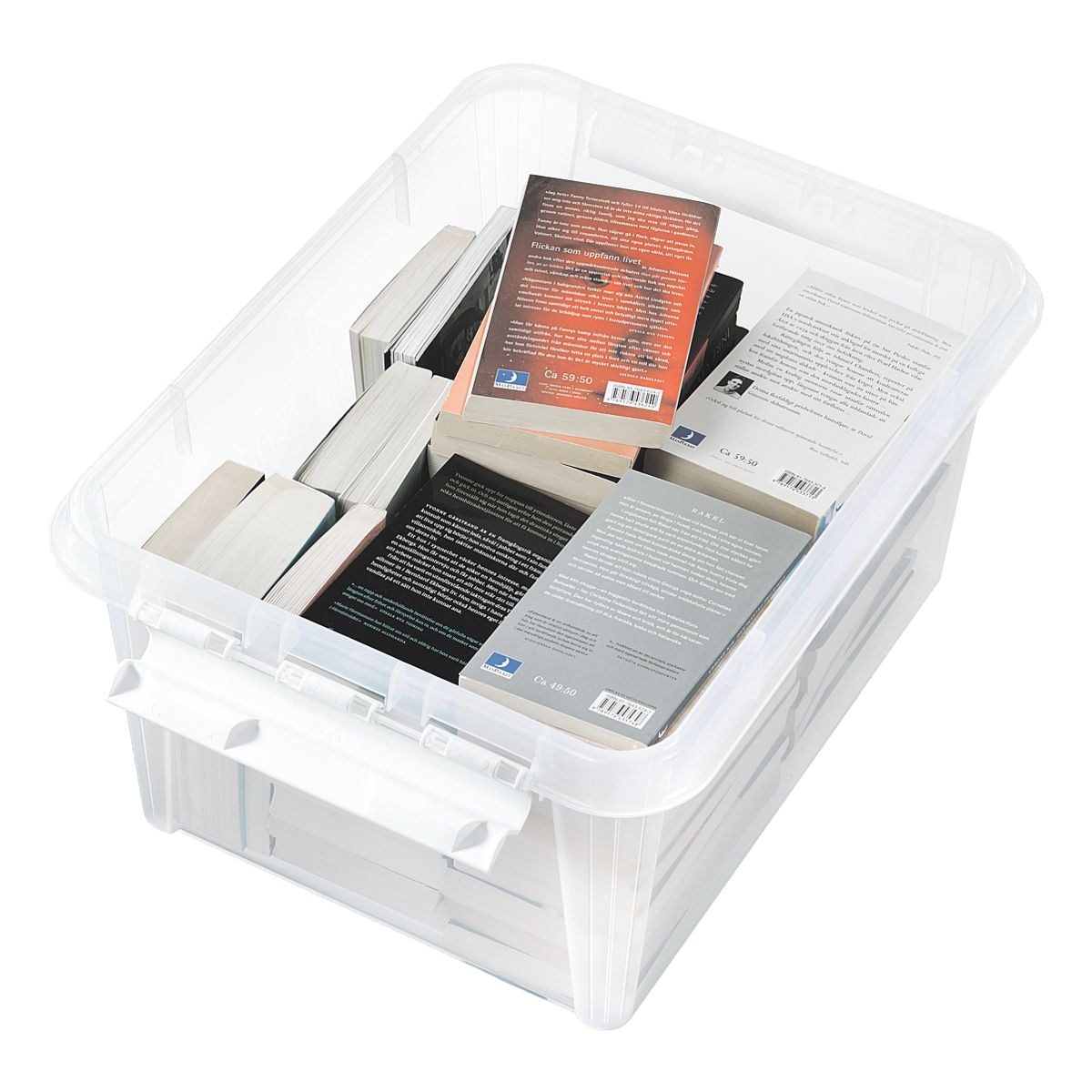 SmartStore Ablagebox »SmartStore Box 31«