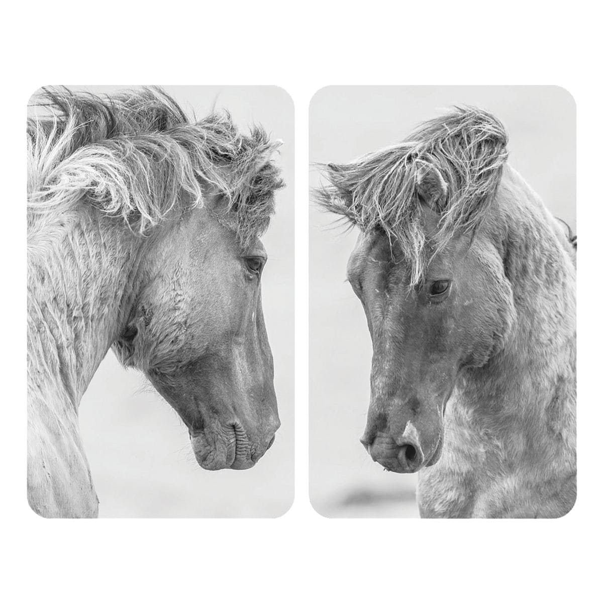 Wenko 2er-Set Herdabdeckplatte Universal Horses
