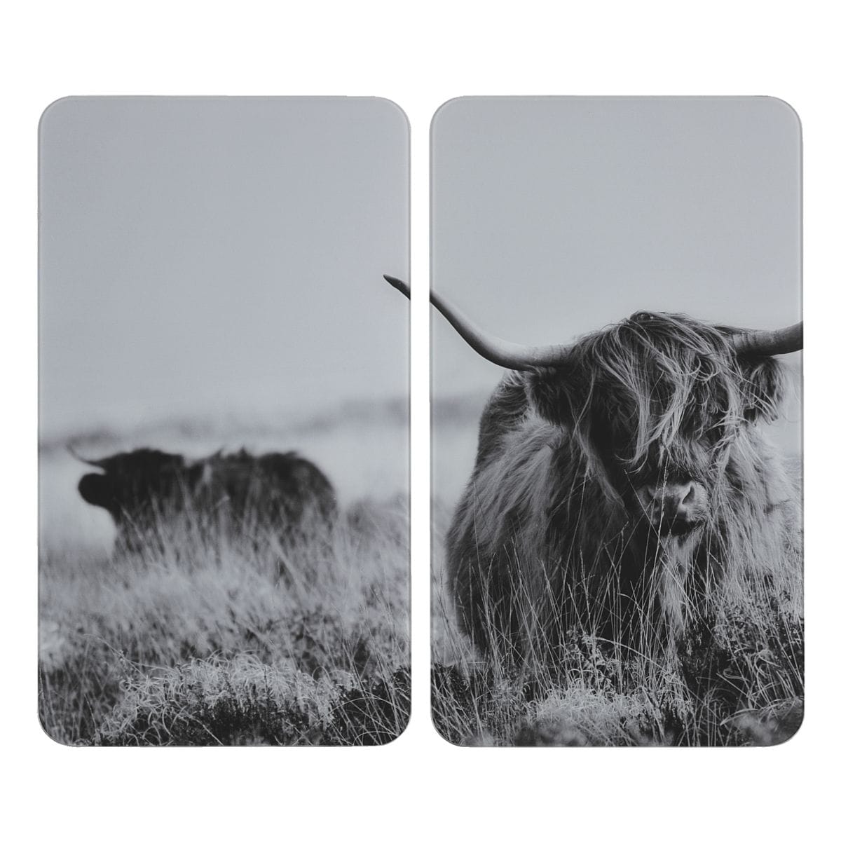 Wenko 2er-Set Herdabdeckplatte Universal »Highland Cattle«