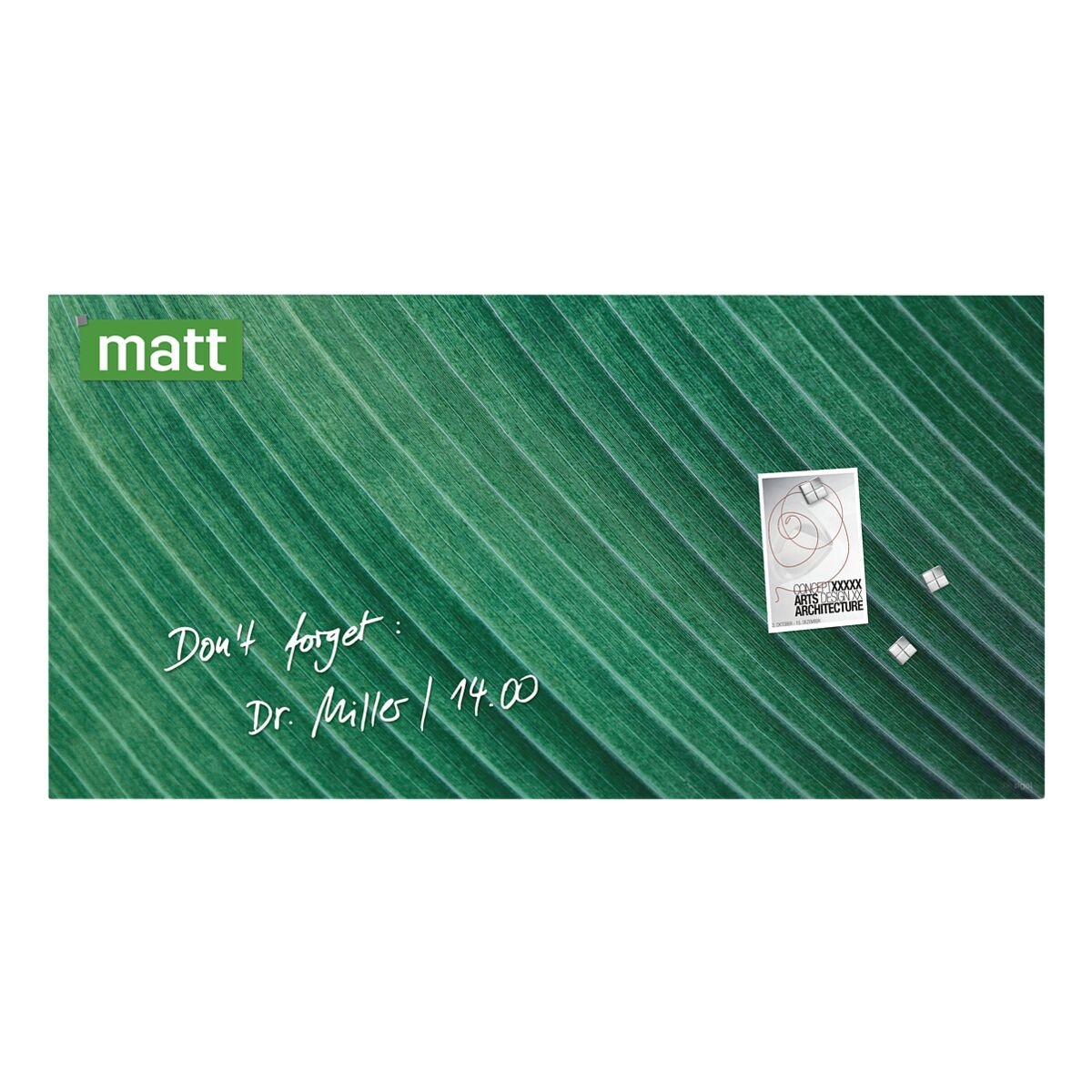 Sigel Glas-Magnettafel Artverum Palm Leaf, 91 x 46 cm