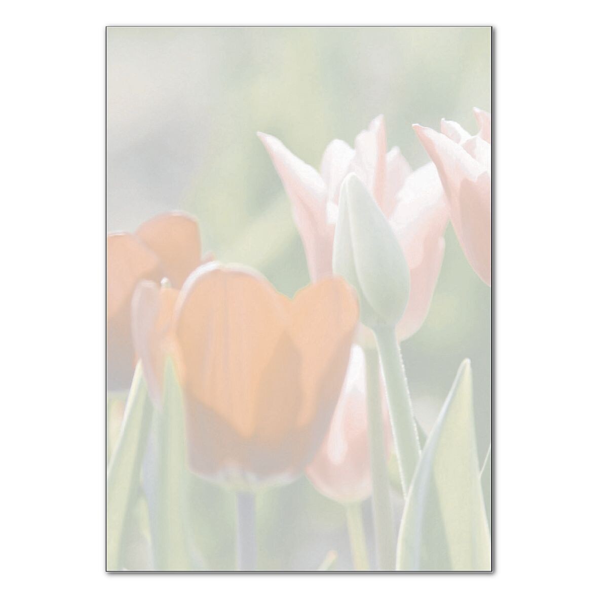 Sigel Designpapier »Spring Fever« DP462