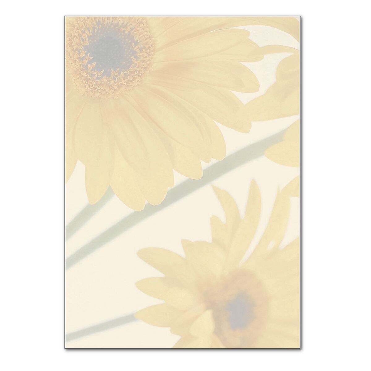 Sigel Designpapier »Finesse« DP465